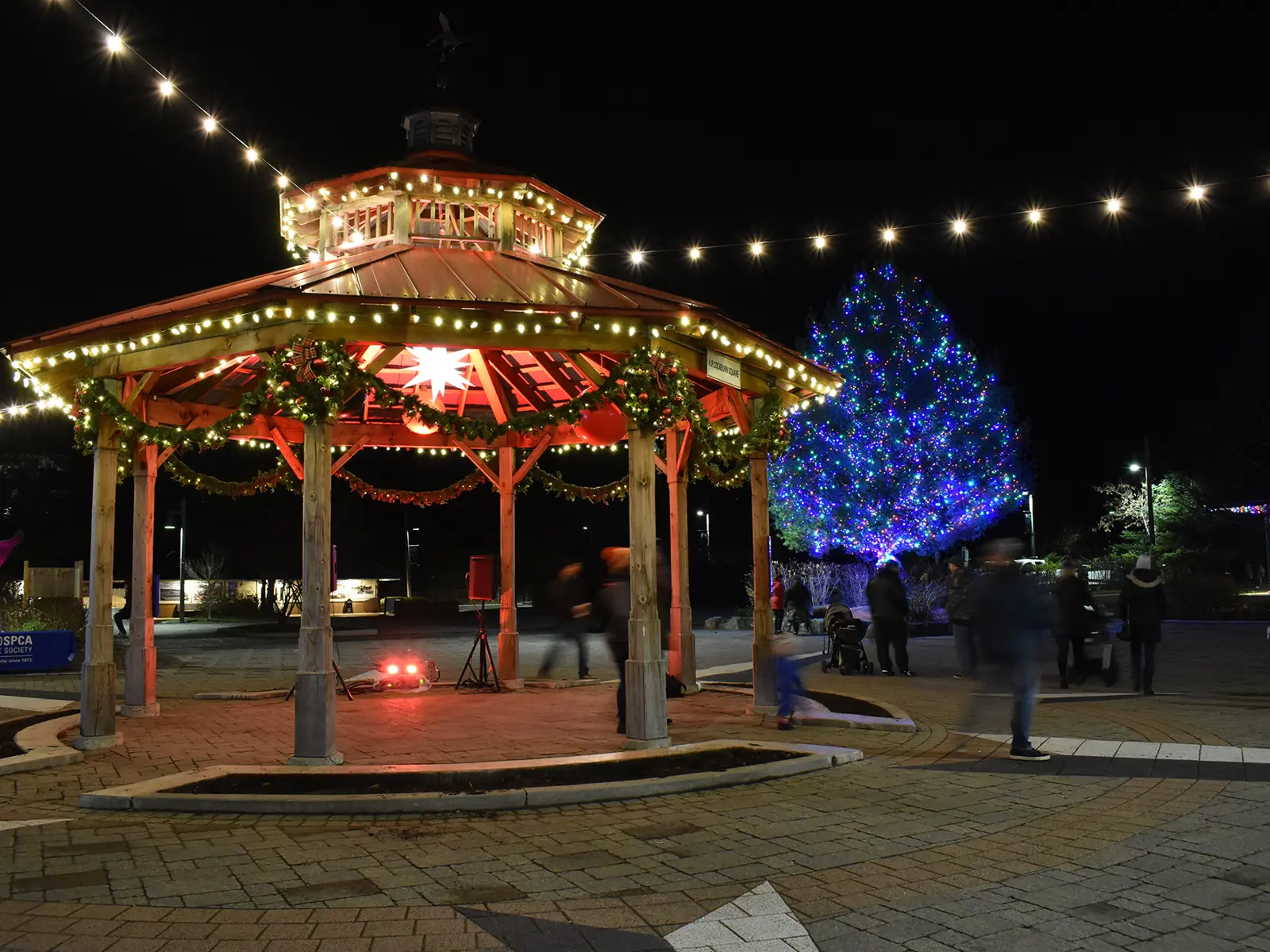 Festivals & Events | Gravenhurst