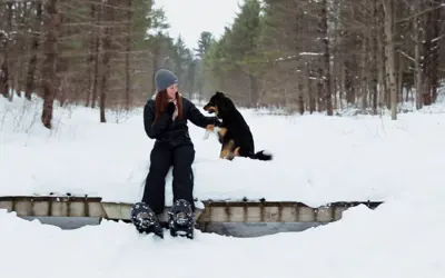 Gravenhurst Veterinary Services